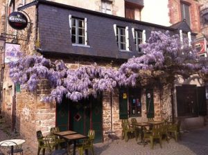 La Glycine